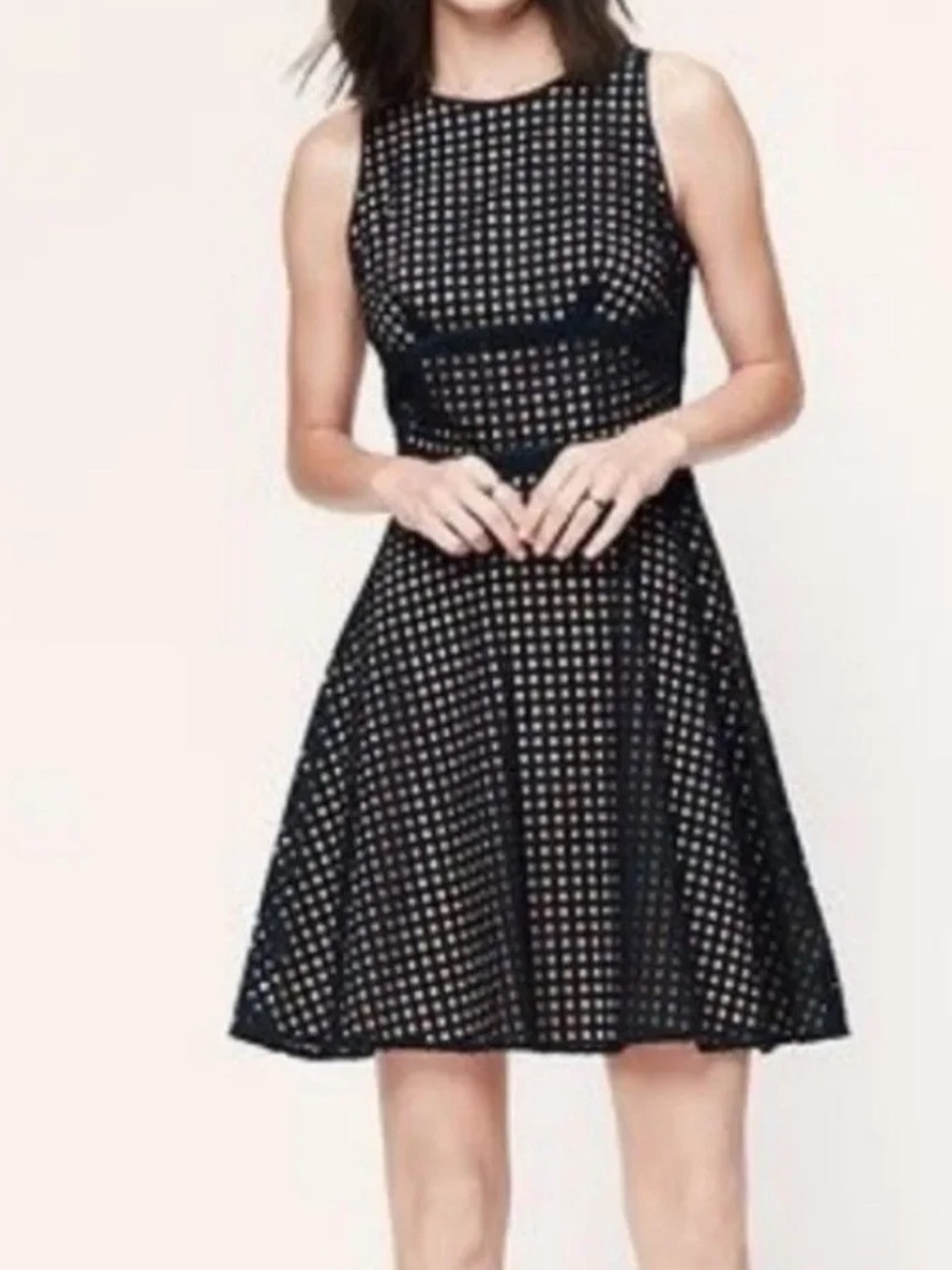 LOFT Black Sleeveless Fit-and-Flare Dress with Checkered Mesh 4